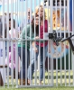 Modern Family Behind The Scenes S5 