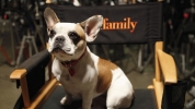 Modern Family Behind The Scenes S3 